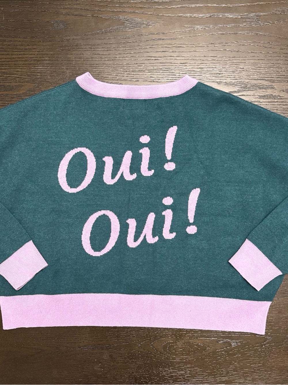 Dressed in LALA Teal Crewneck Sweater with Pink Trim & Dachshund Graphic - Picture 2 of 12